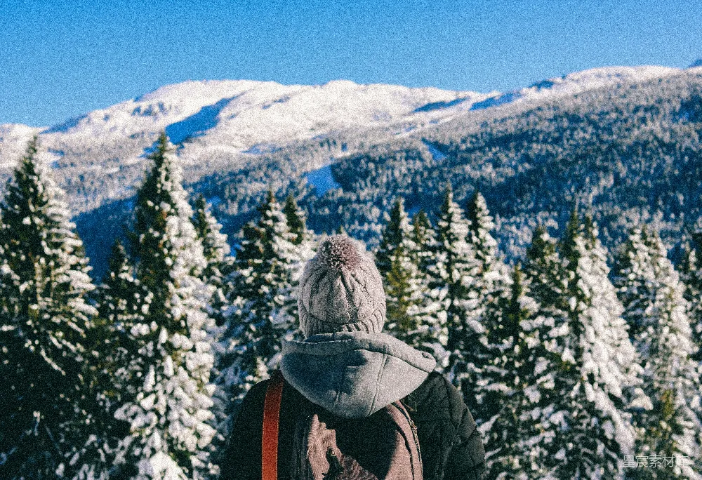 高清摄影  站在积雪覆盖的树木前的人