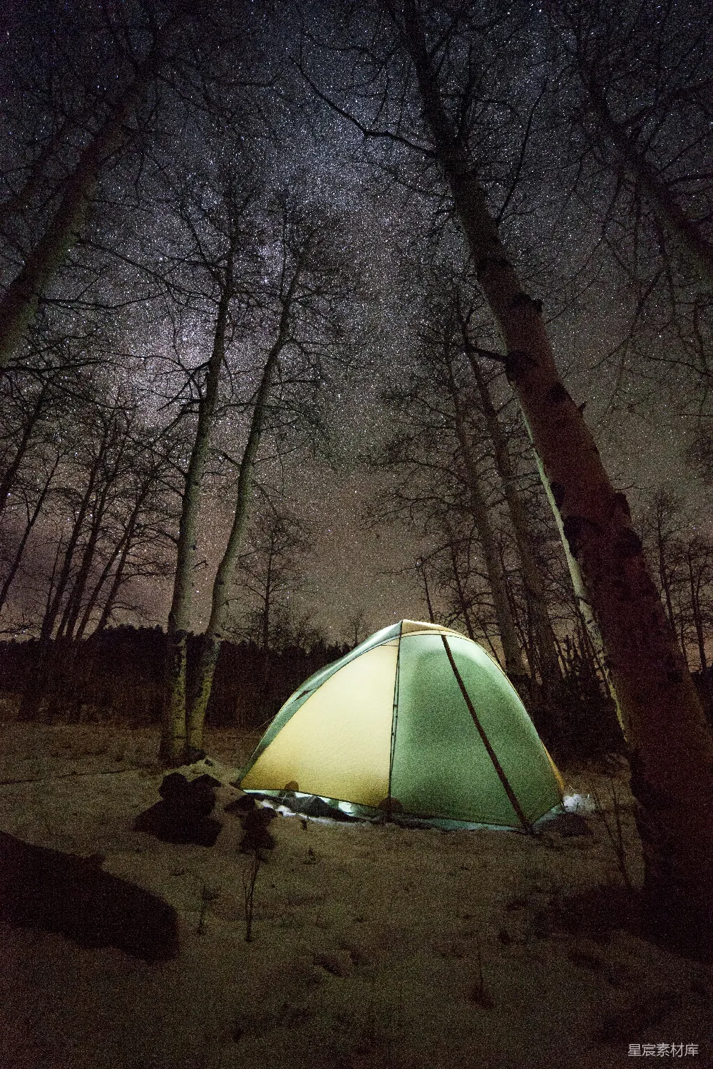 高清摄影  在夜晚，一个圆顶帐篷被光秃秃的树木包围着。