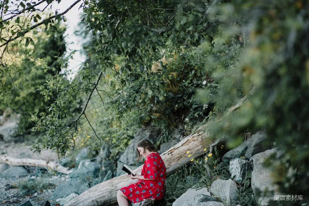 高清摄影  女人正在看书