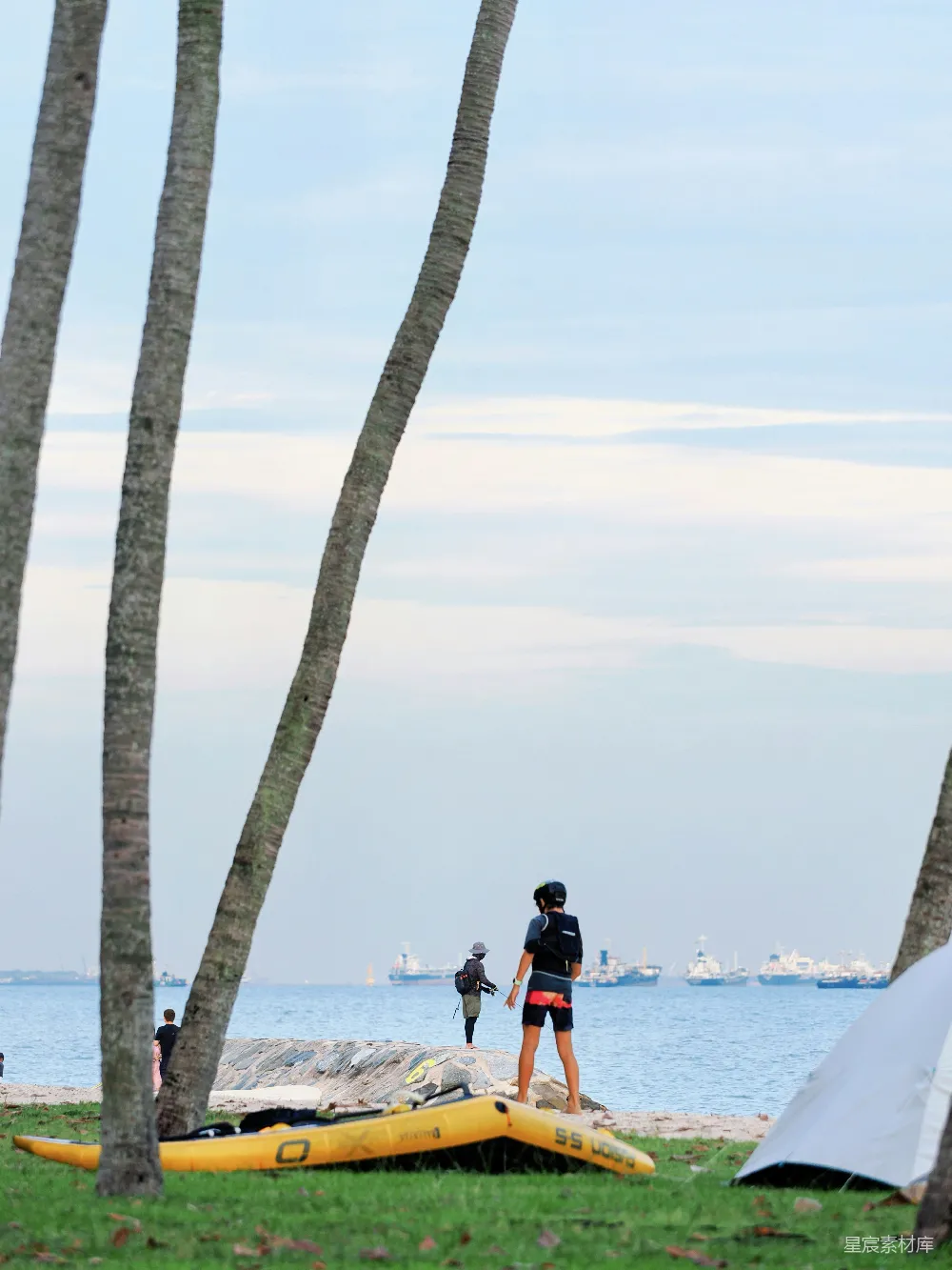 高清摄影  海滩上的人们，背景有棕榈树和海洋。