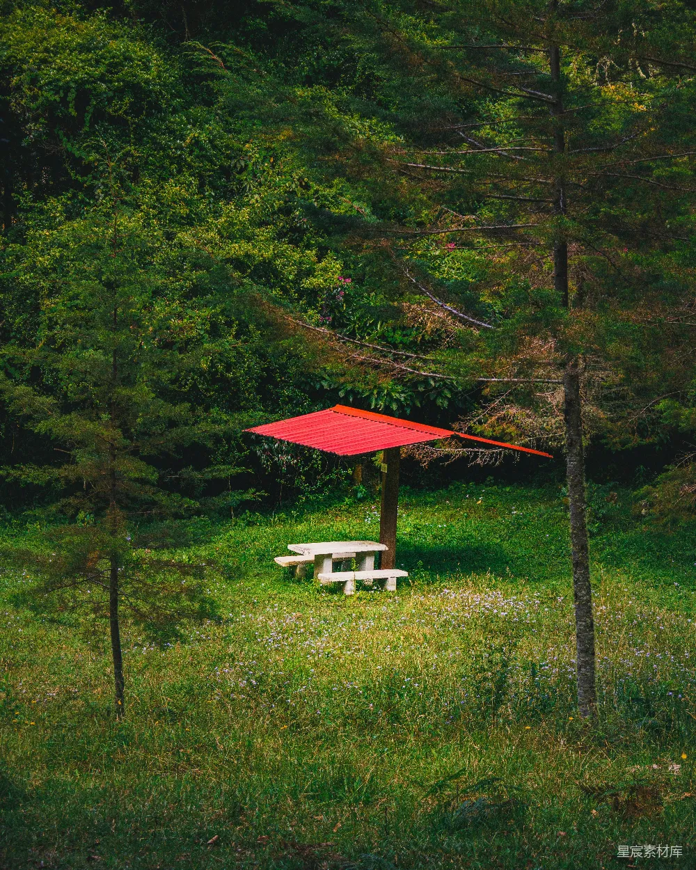 高清摄影  草地上有红色雨伞覆盖的野餐桌。