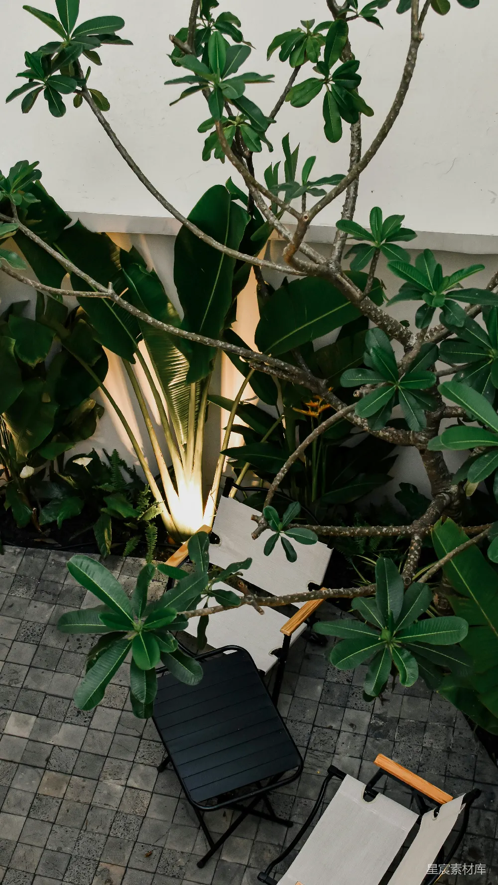 高清摄影  花园露台，配有两张椅子，绿意盎然的植物，以及温暖的灯光。