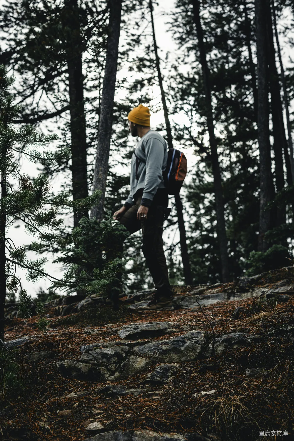 高清摄影  一个背着背包的男人站在树林中的小山上