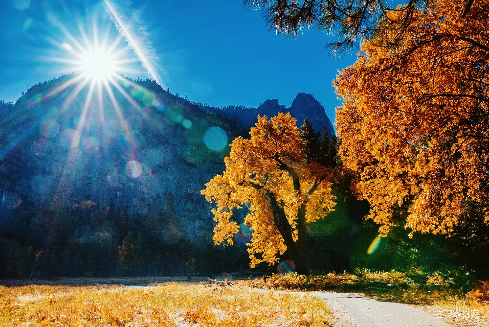 高清摄影  太阳在山景上照耀得明亮。