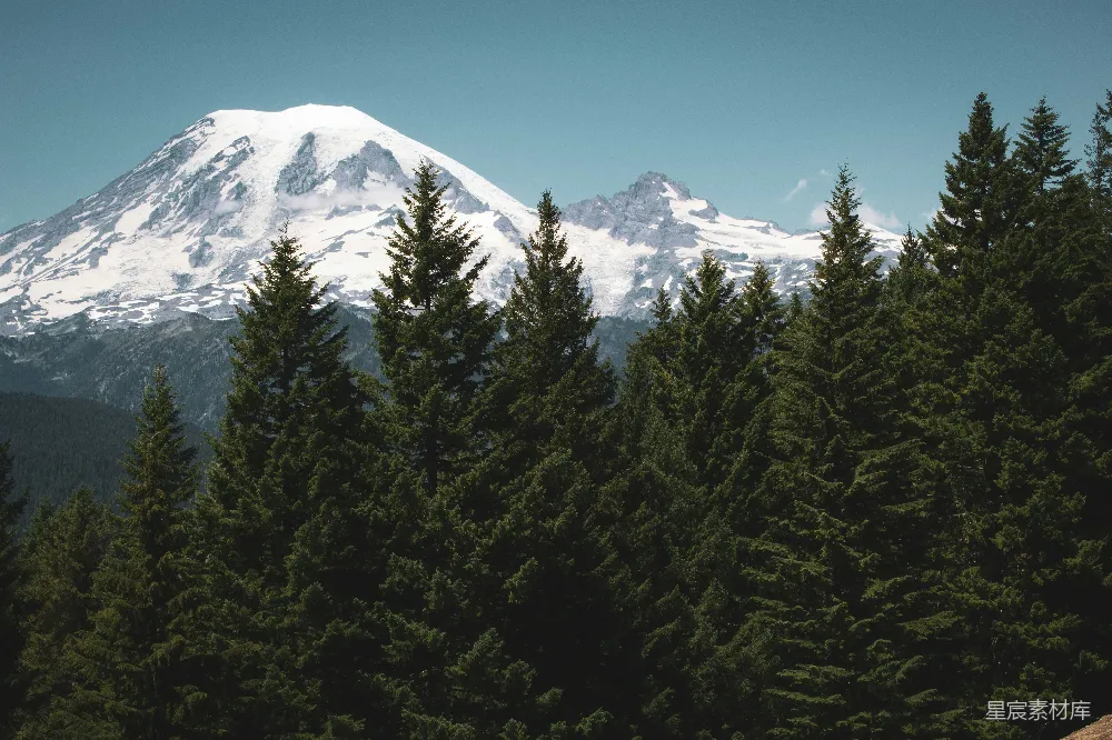 高清摄影  透过树林看到的被雪覆盖的山景