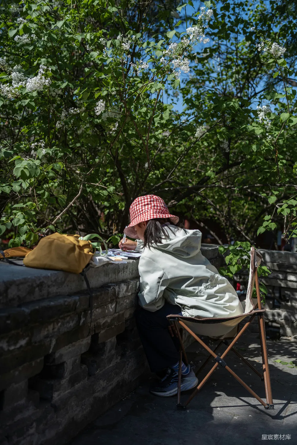 高清摄影  戴着帽子的人在开花的树下户外画画。