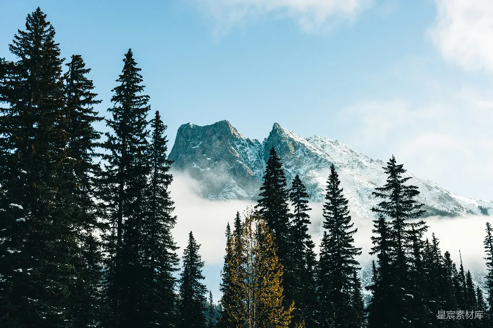 高清摄影  一座覆盖着积雪的山，山上有一些树木。