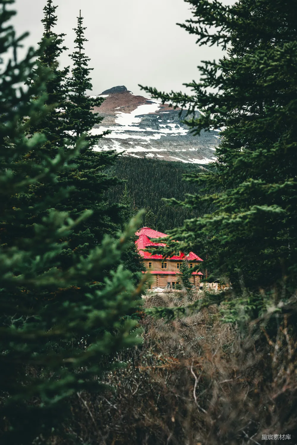 高清摄影  一座位于树林中的房子，背景是山峦。