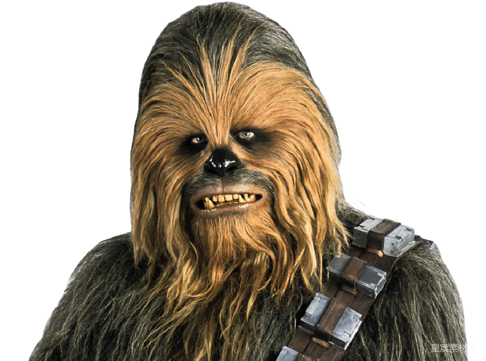 元素素材 元素 Chewbacca