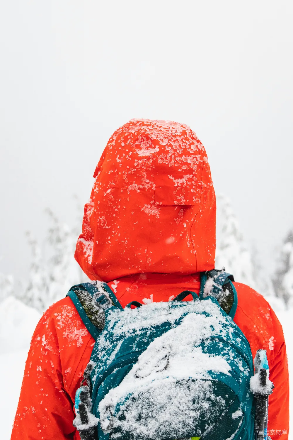 高清摄影  穿红色连帽衫的人被雪覆盖着