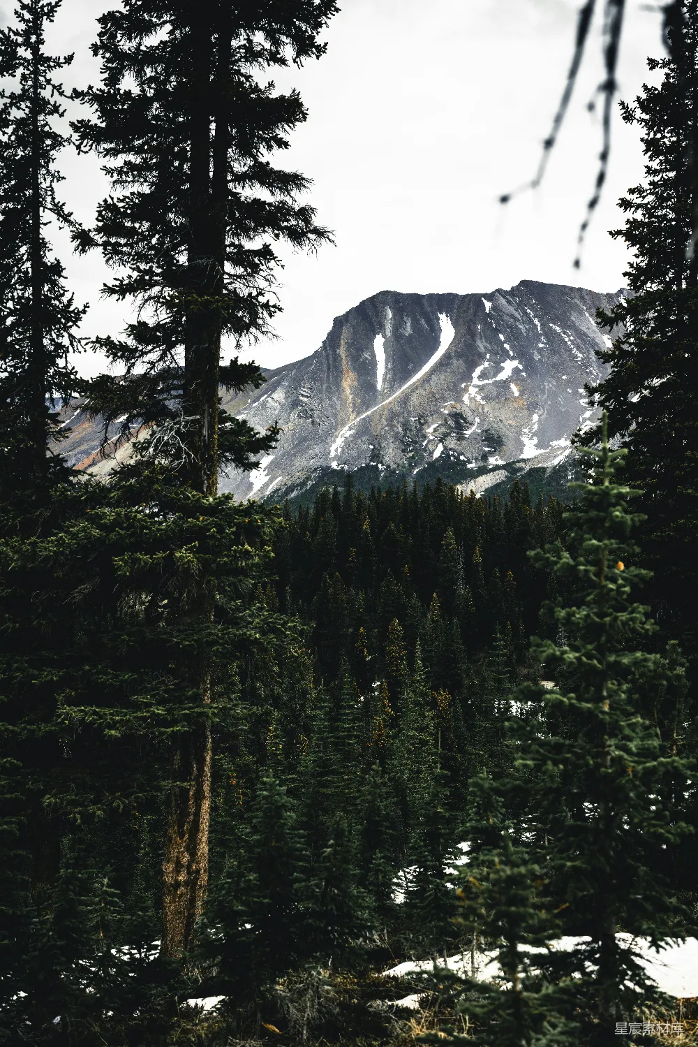 高清摄影  透过树木看到的山景