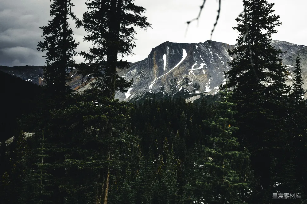 高清摄影  前景中有树木的山景