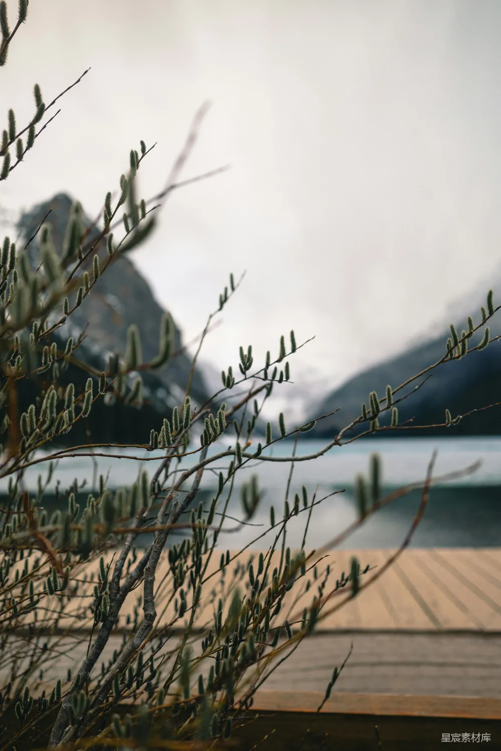 高清摄影  树枝框构出模糊的湖景和山景。