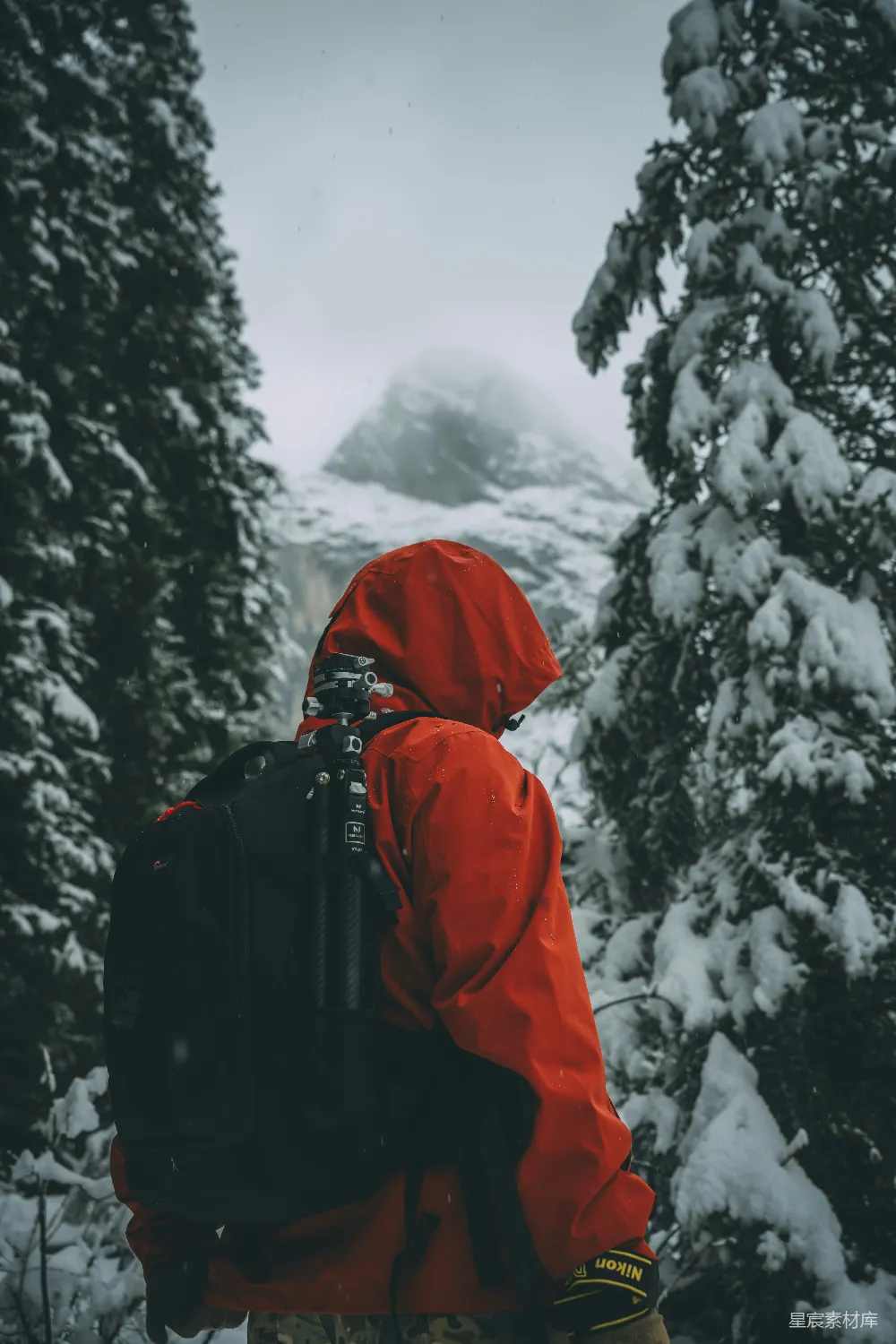 高清摄影  穿红色夹克背着背包的人在雪林中