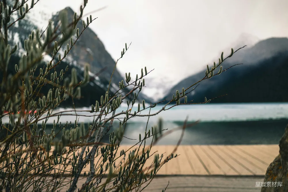 高清摄影  树枝框住了一片山间湖泊的景色。