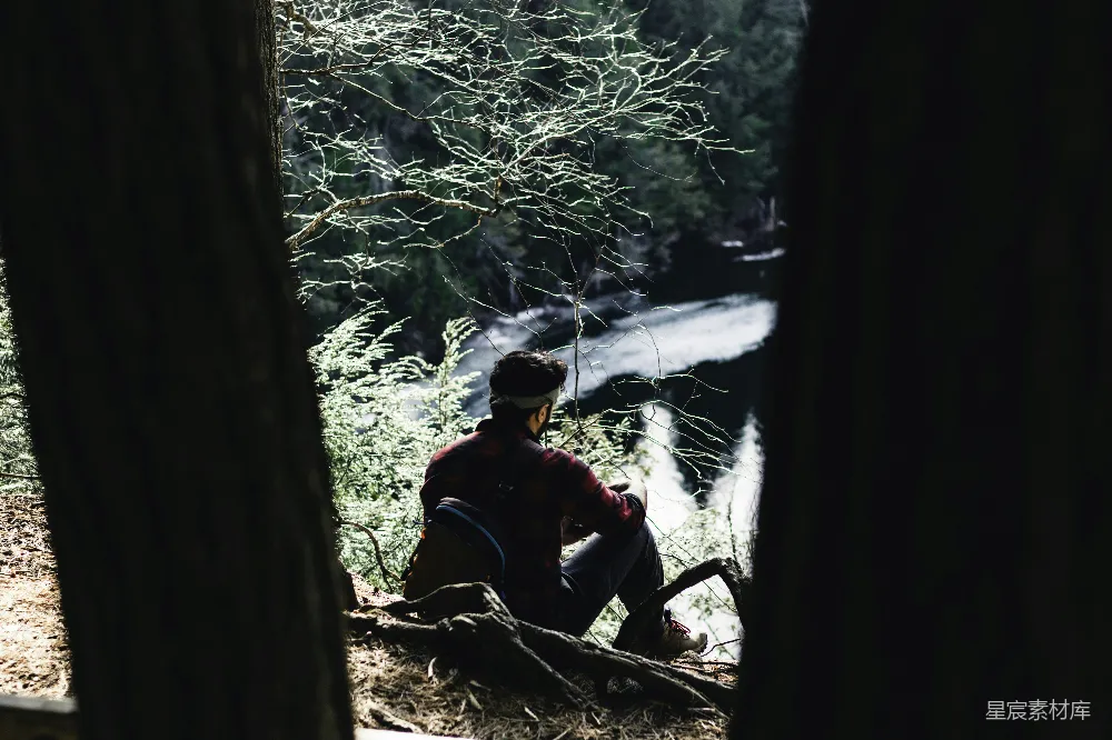 高清摄影  一个男人坐在树林里的木头上