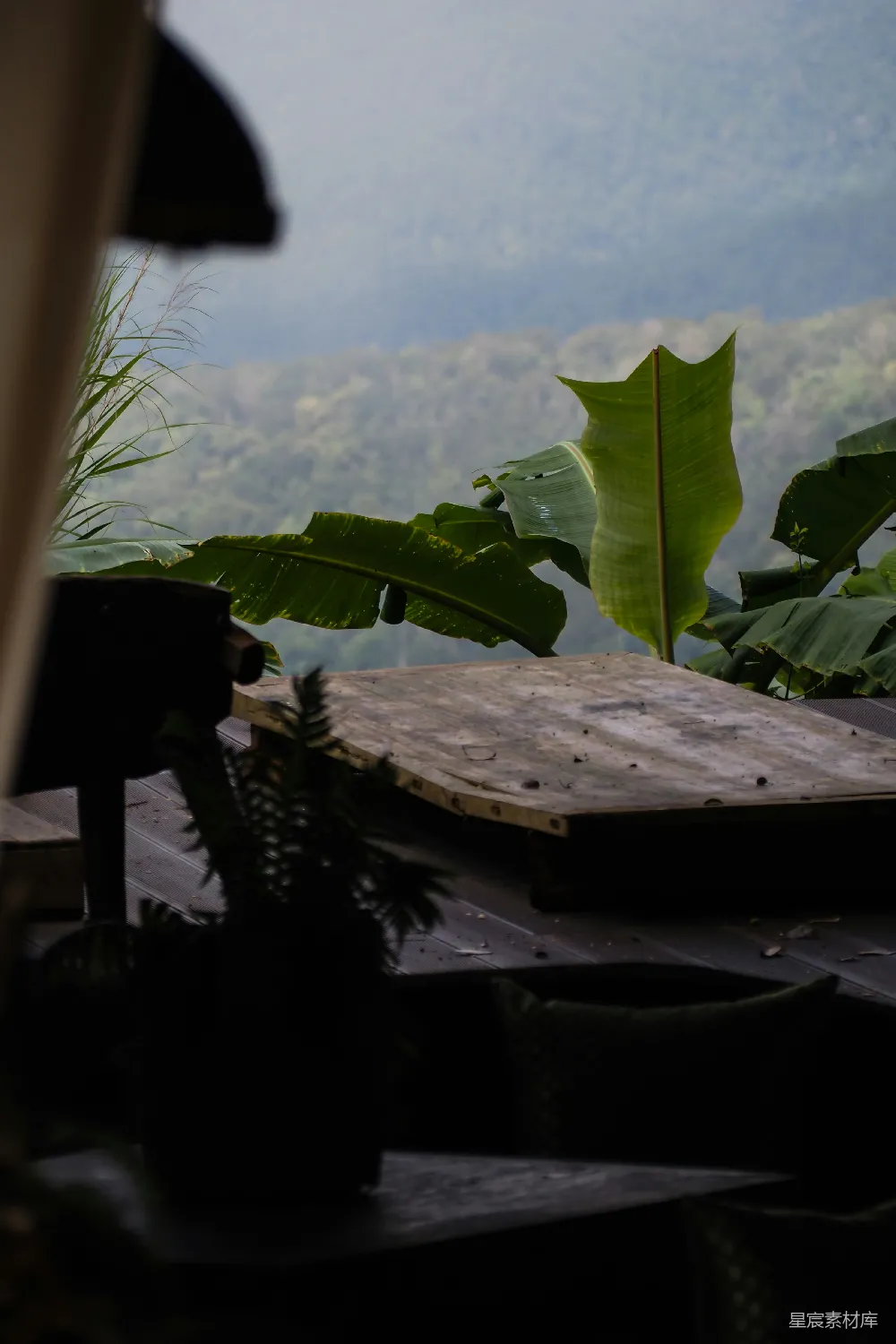 高清摄影  茂密的绿叶俯瞰着雾蒙蒙的山峦和森林。