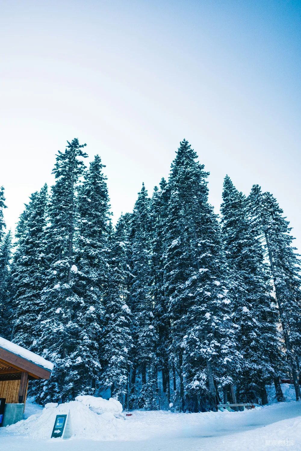 高清摄影  一间位于雪地森林中的小木屋