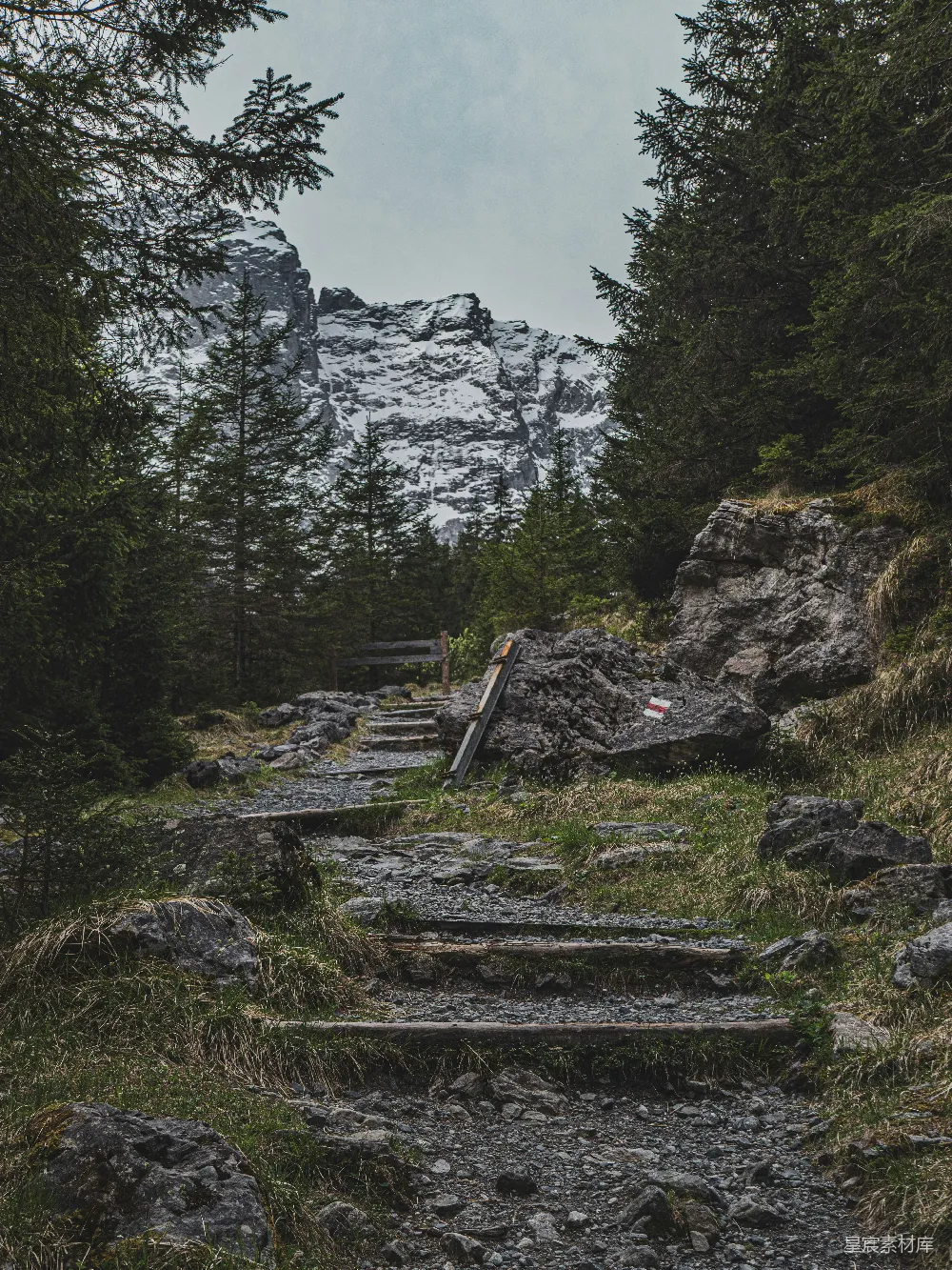 高清摄影  石阶通向树林中的登山小径
