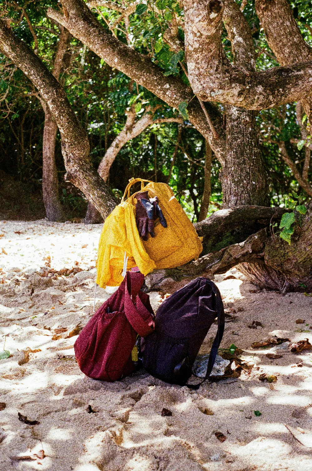 高清摄影 电影 沙滩上有一棵大树，旁边放着包和手套。
