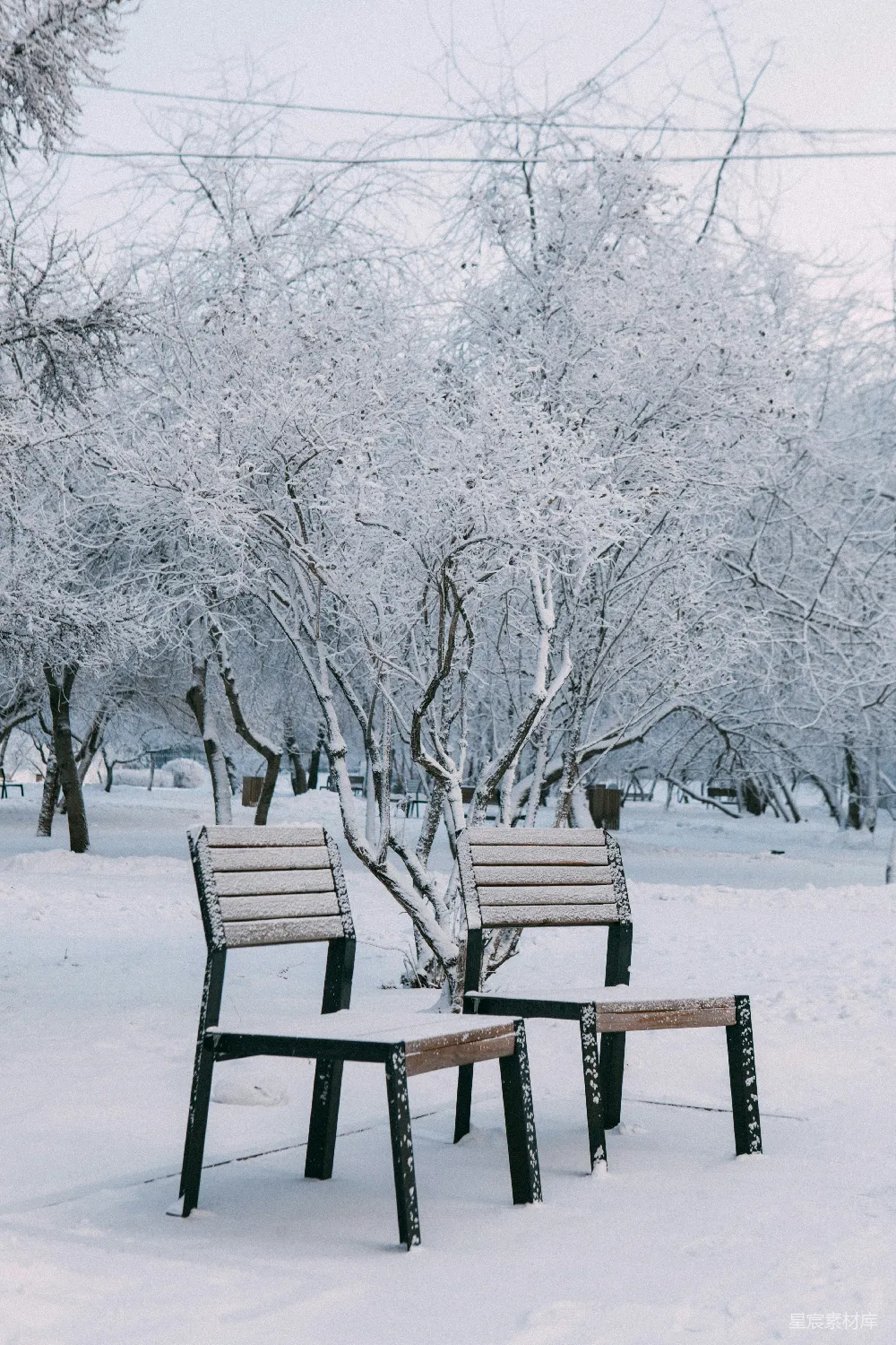 高清摄影  两个被雪覆盖的空椅子在公园里。