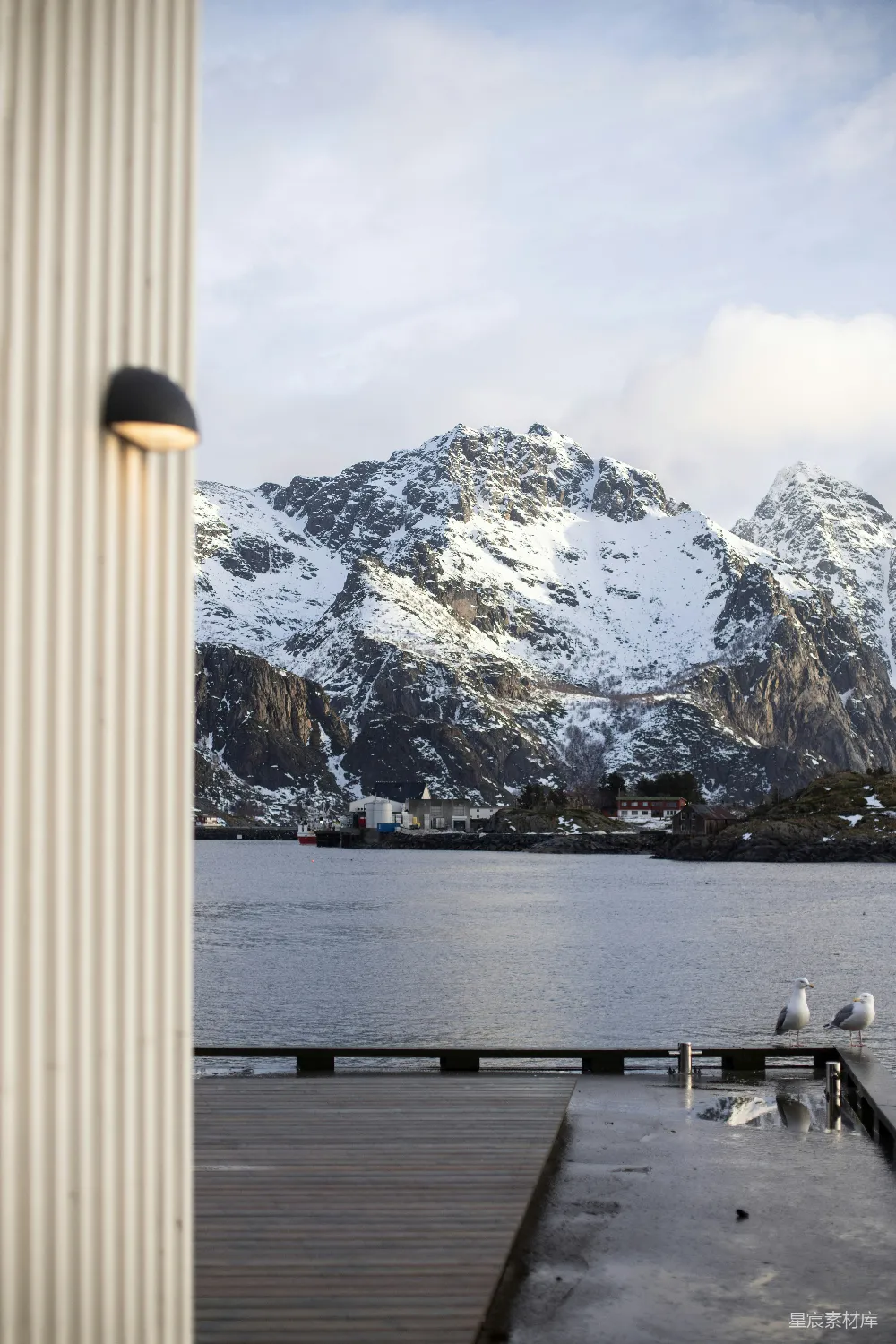 高清摄影 旅行 壁纸 雪山俯瞰着宁静的海湾，海鸥在飞翔。