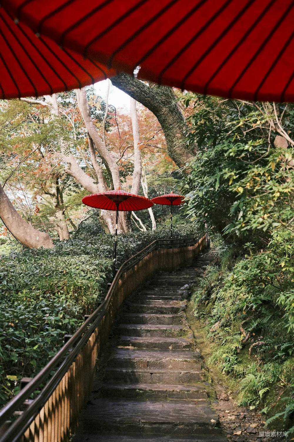 高清摄影  森林中的木制楼梯上挂着红色雨伞