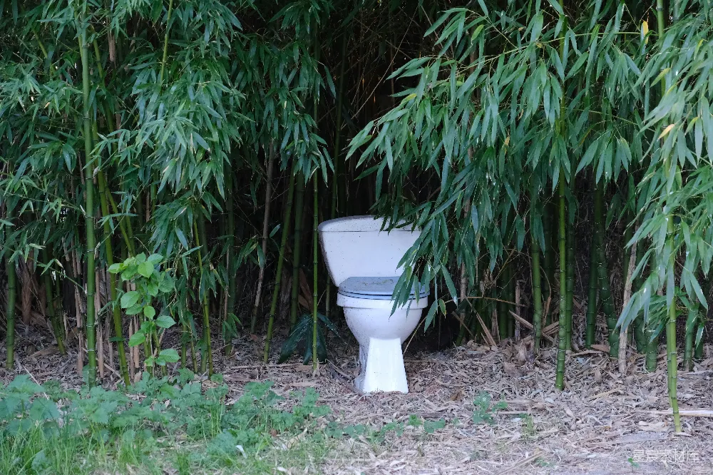高清摄影  花园里的一个厕所