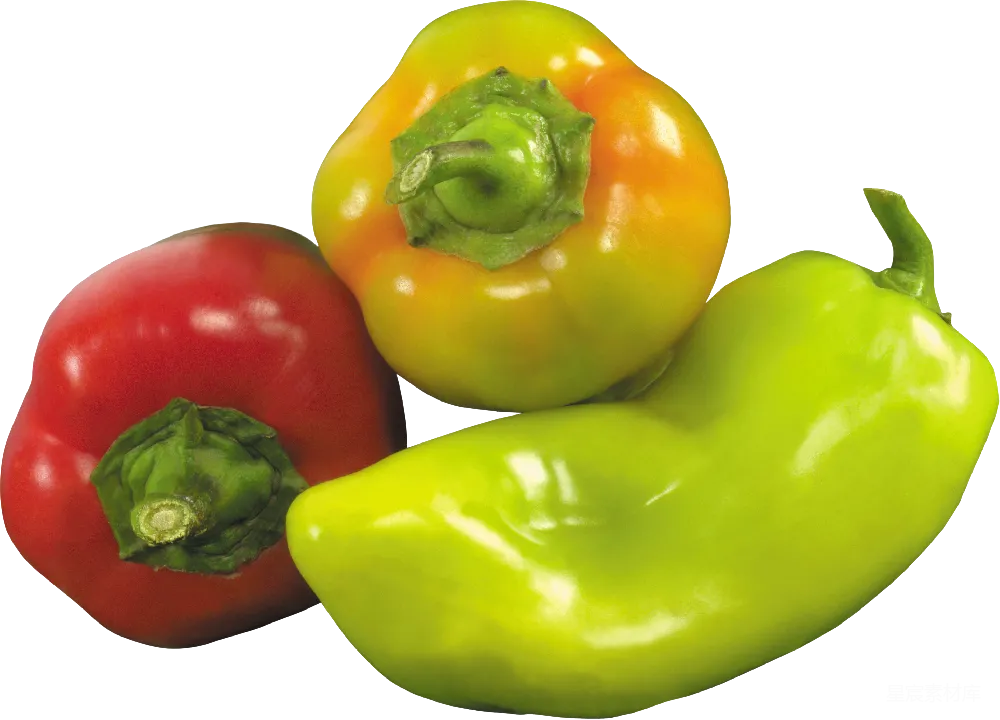 元素素材 Pepper