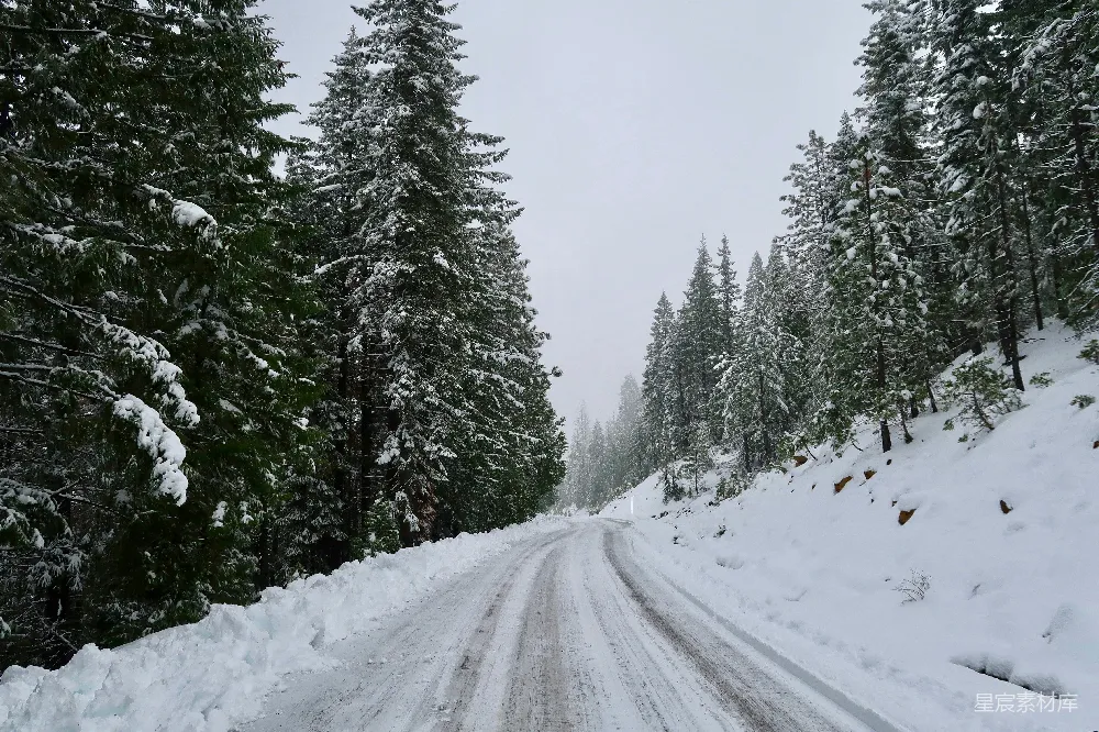 高清摄影  被雪覆盖的道路被树木环绕