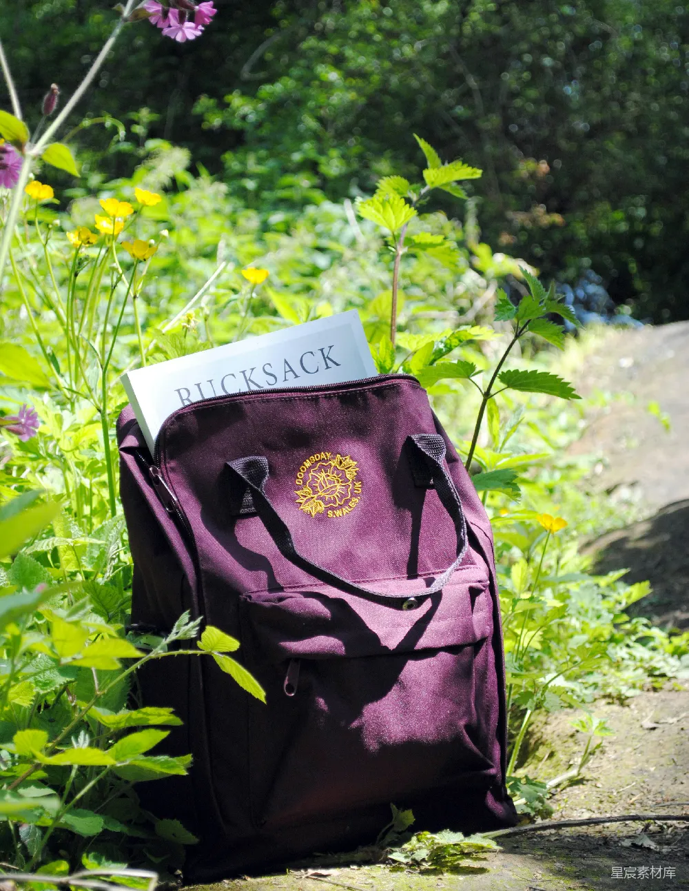 高清摄影  紫色皮革背包旁边是花瓣状的花朵。