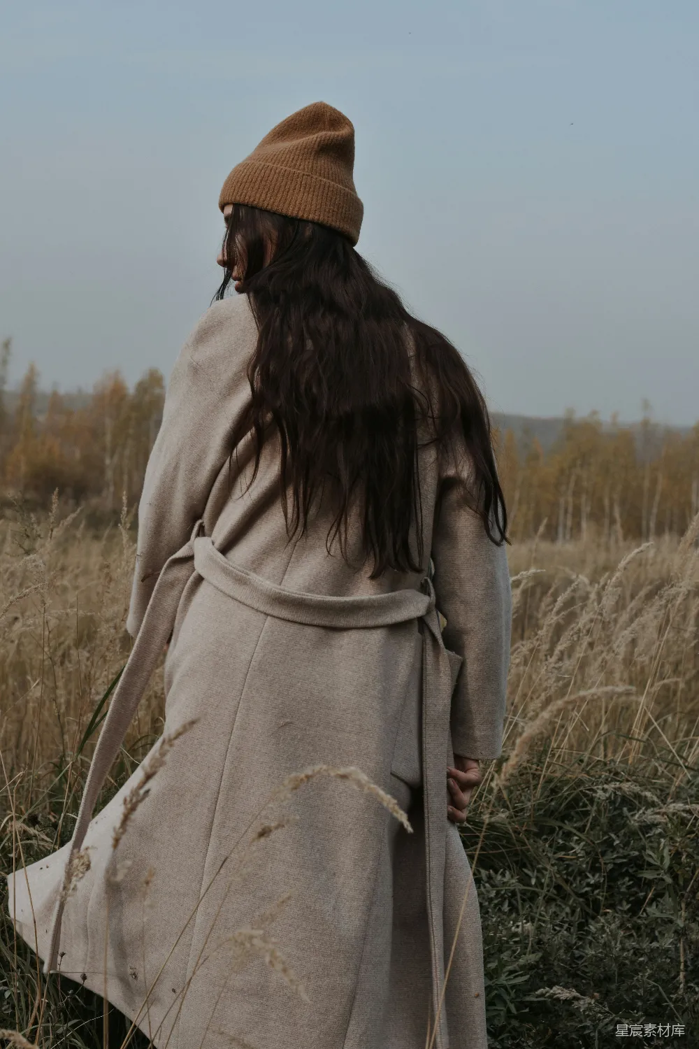 高清摄影  一个女人在一片高草丛中行走。