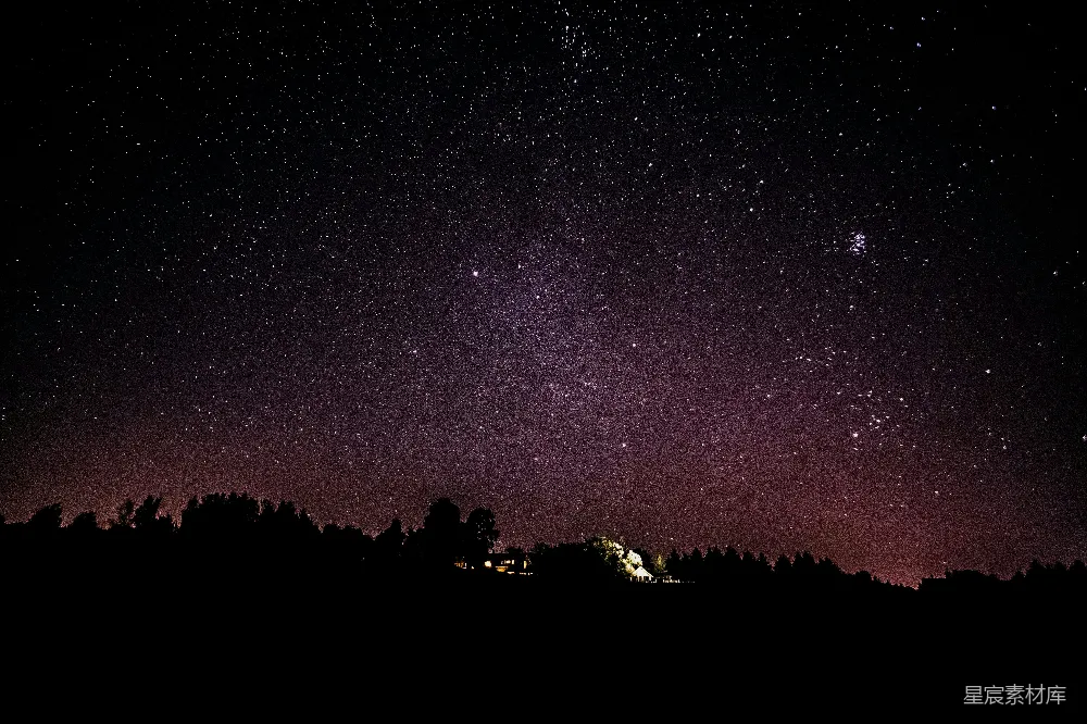 高清摄影  星夜下的树木剪影