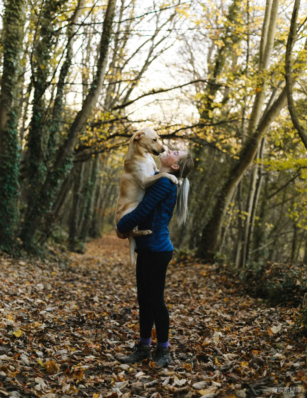 高清摄影  带着狗的女人靠近树。