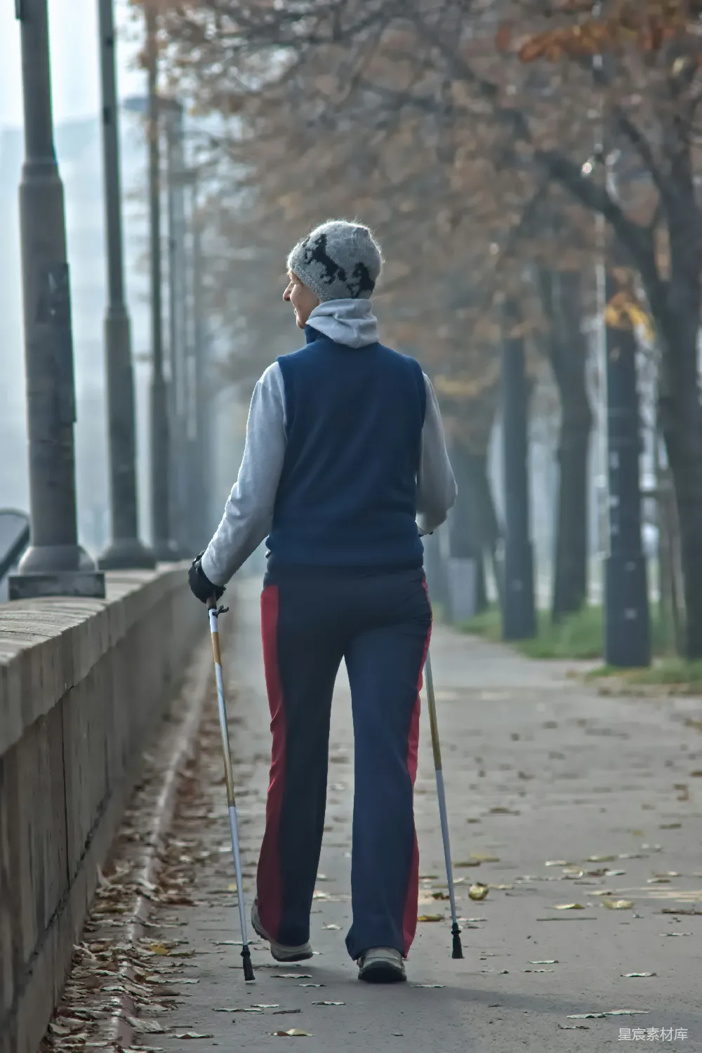 高清摄影  带着手杖的女子走在两旁种满树木的小路上