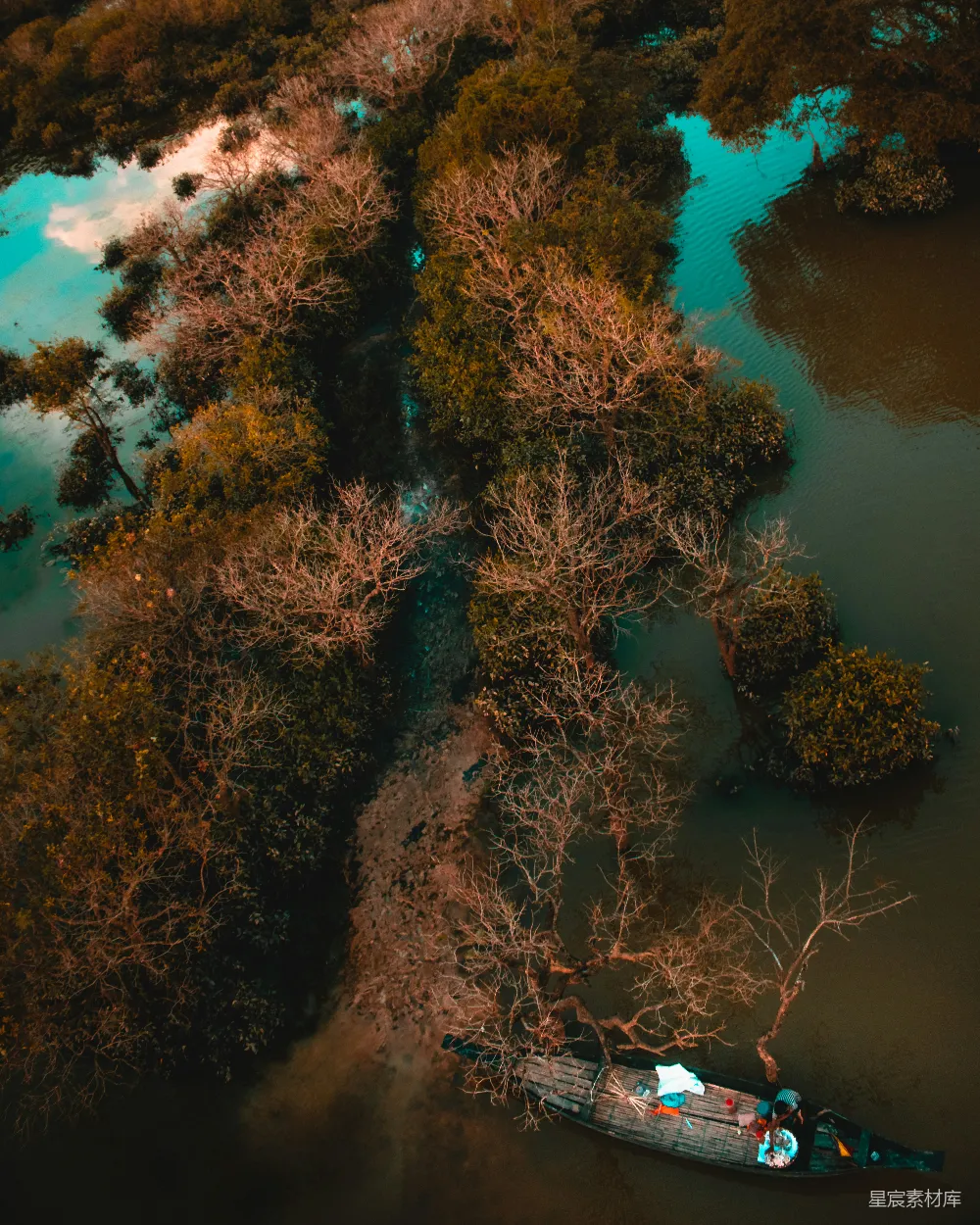 高清摄影  船在水体旁边靠近树木的地方
