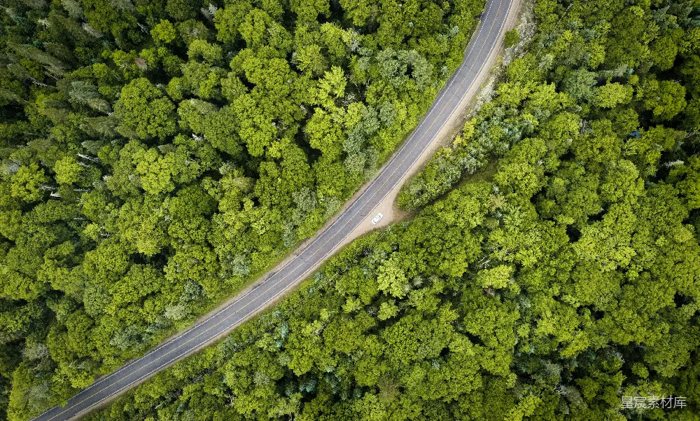 高清摄影  森林中间的一条道路的空中俯瞰图
