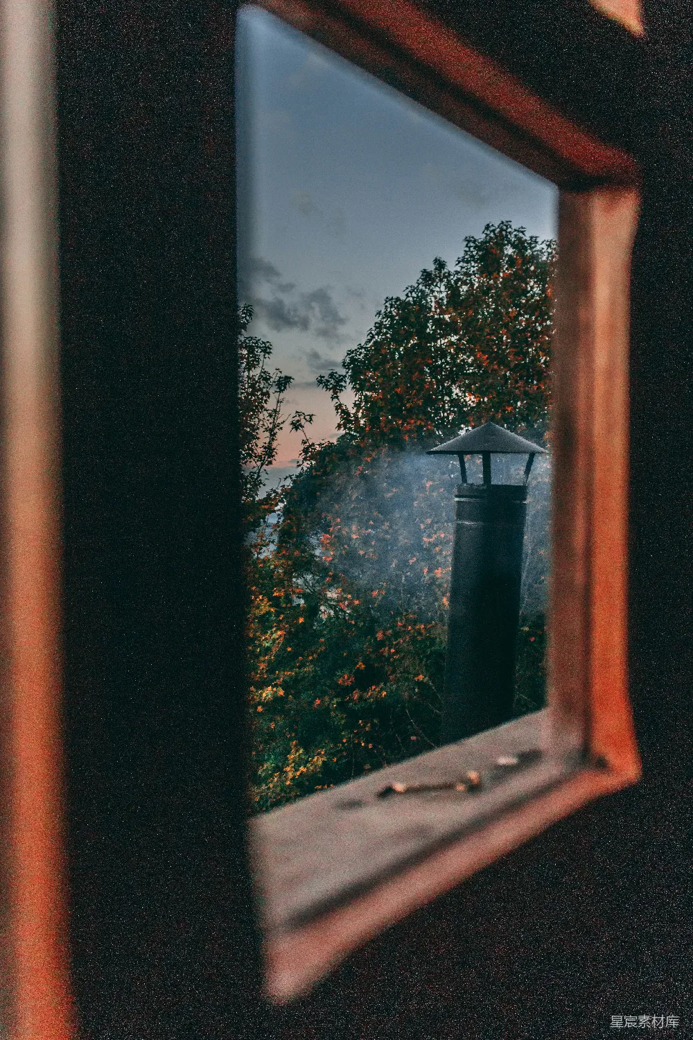高清摄影  透过窗户看到的一棵树的景象