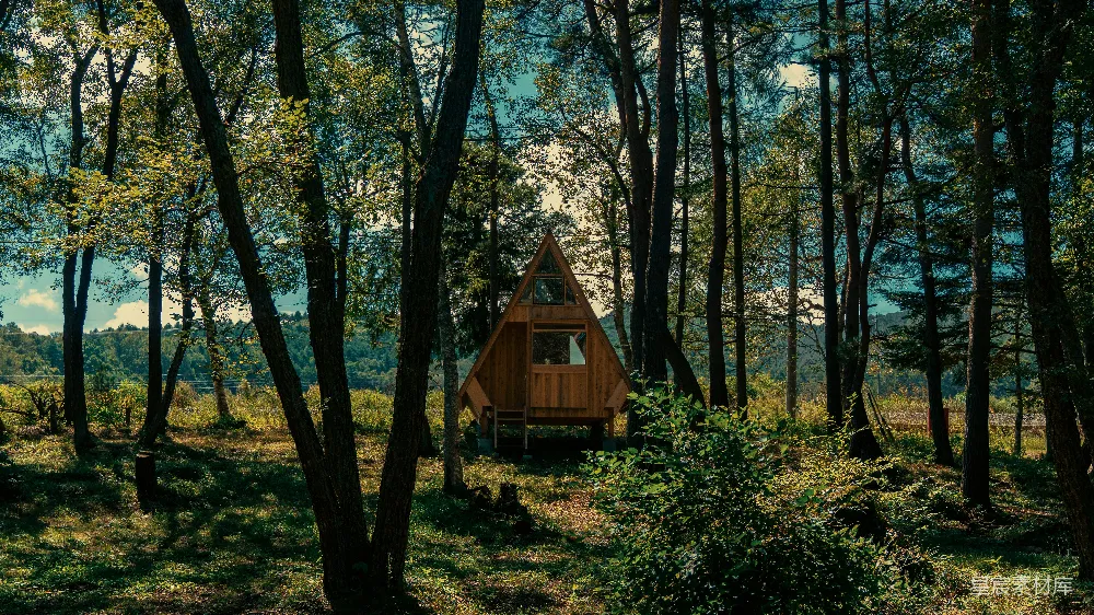 高清摄影  一个小木屋隐藏在树林中。