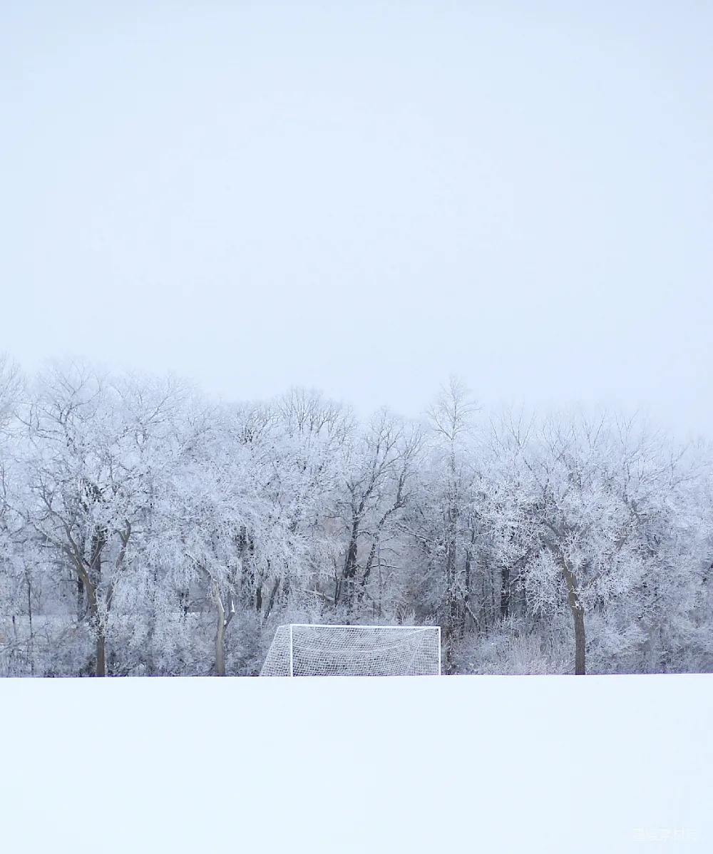 高清摄影  一个足球门，背景是积雪覆盖的田野和树木。