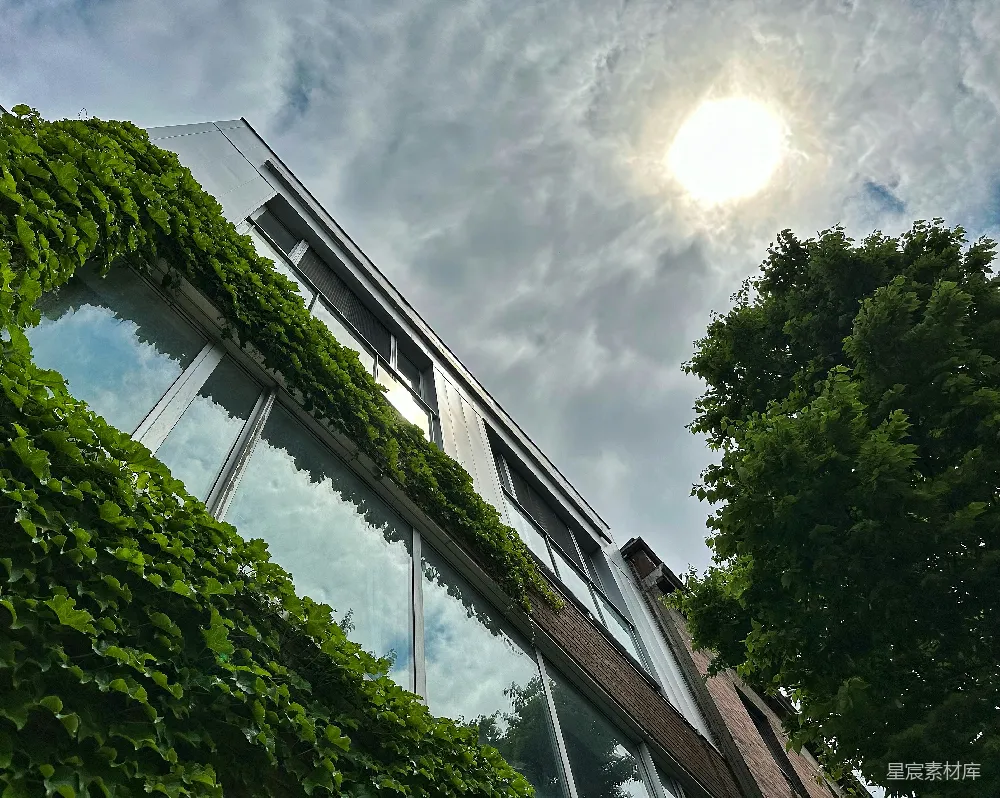 高清摄影  一座建筑上长满了植物的建筑
