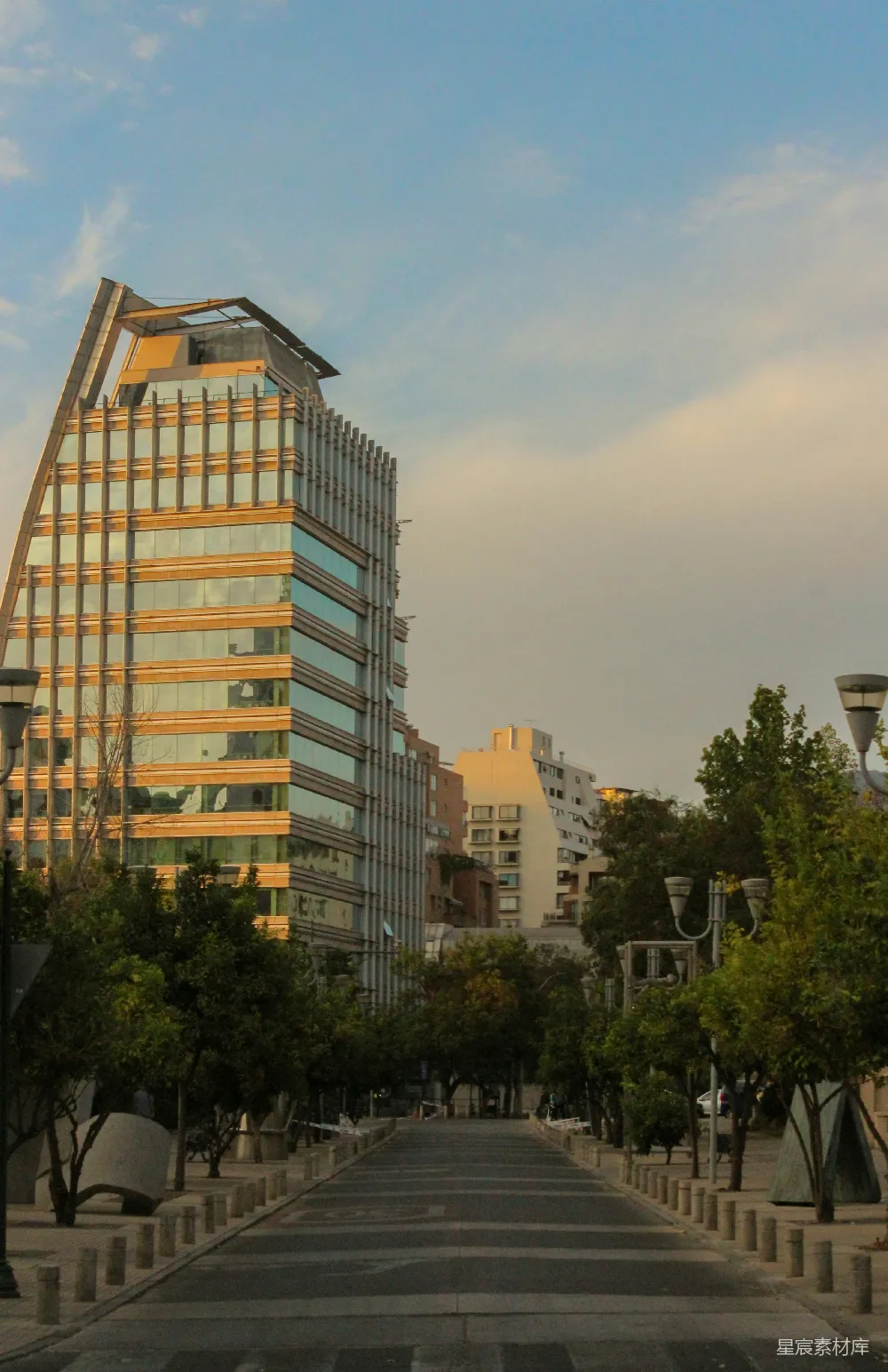 高清摄影  一条两旁高大建筑和树木的城市街道