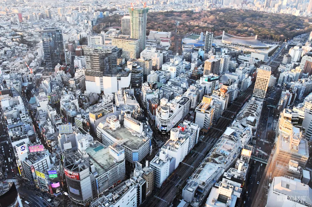 高清摄影  城市建筑物的白天俯瞰图