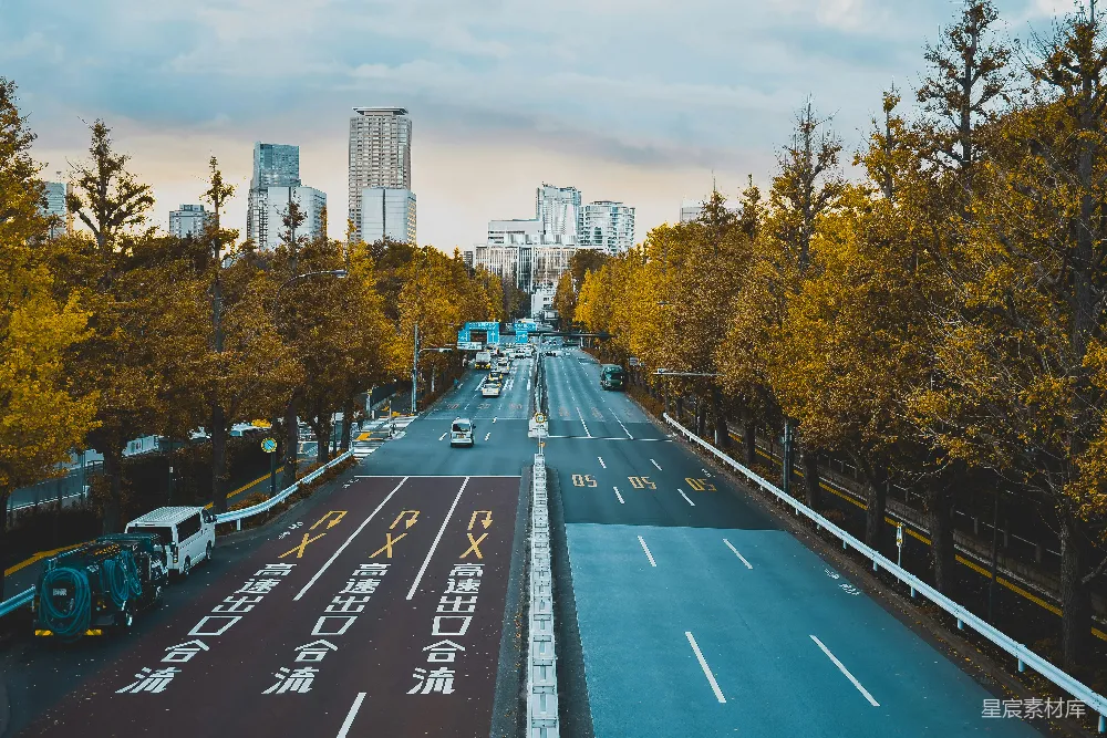 高清摄影  白天，路上有汽车靠近树木和建筑物。