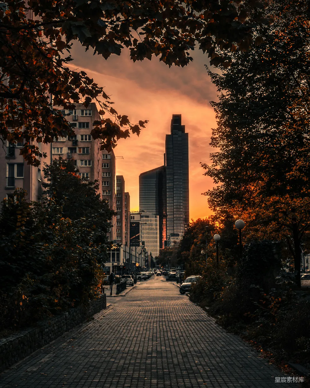 高清摄影  夕阳西下，洒落在城市街道上
