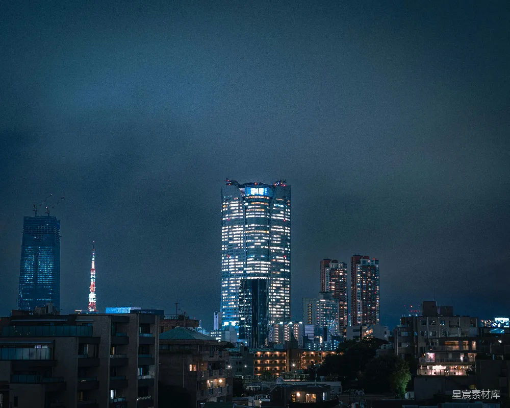 高清摄影  夜晚的城市天际线