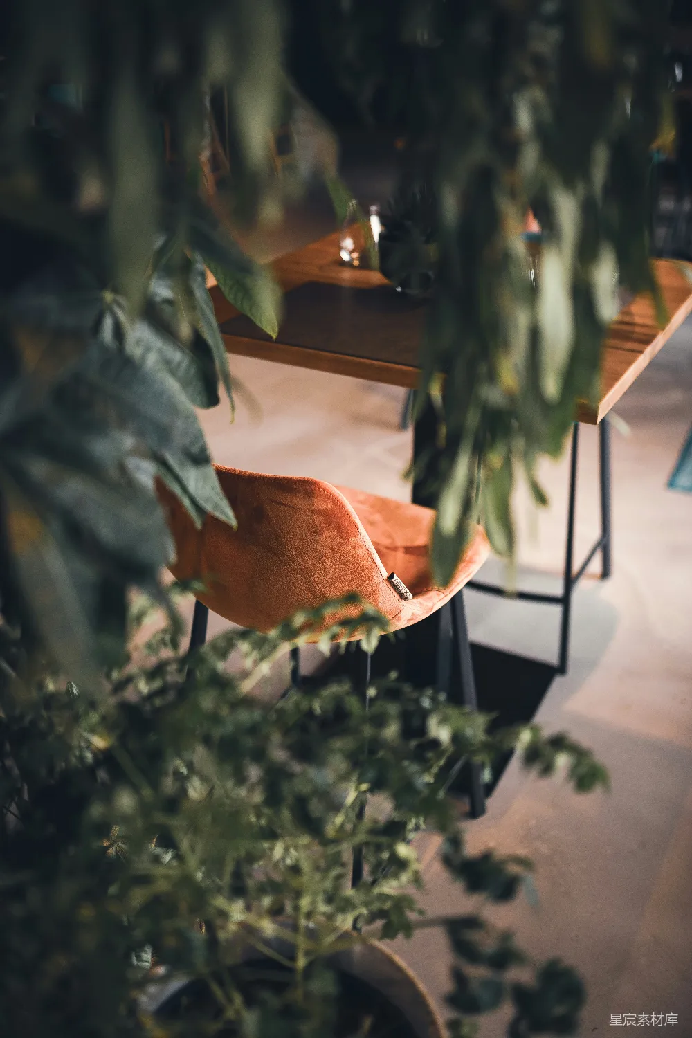 高清摄影  一棵植物前面有一座建筑。