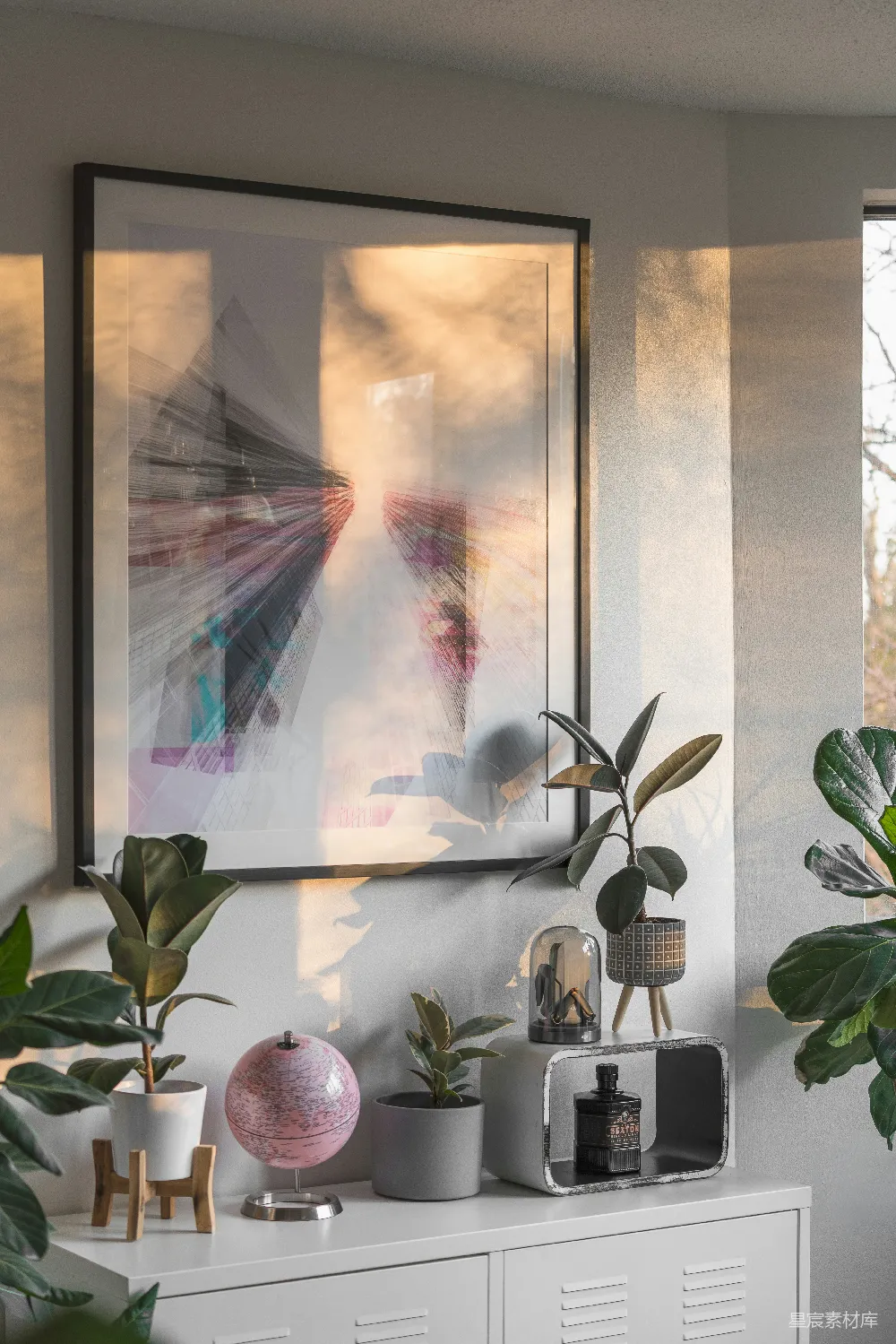 高清摄影  白天窗边的绿植