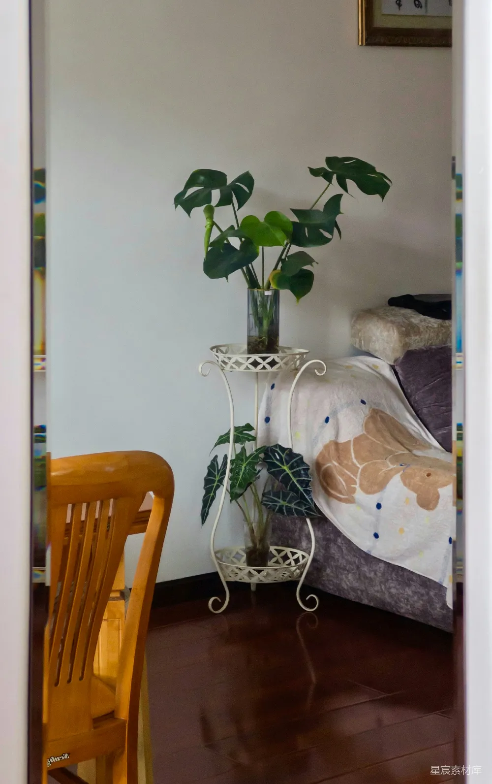 高清摄影  两张盆栽植物放在沙发旁边的架子上。