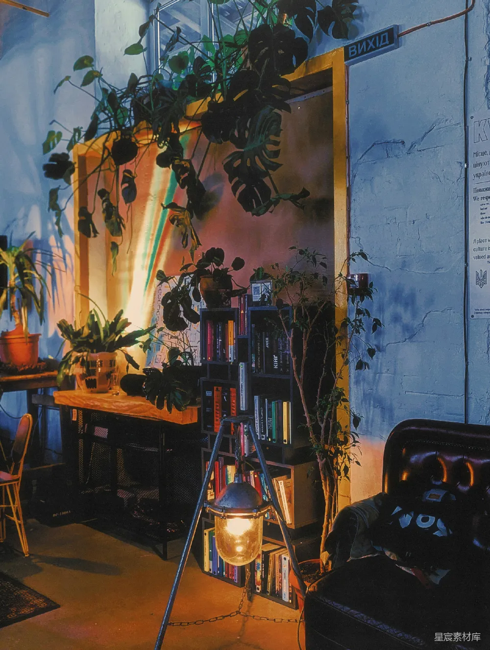 高清摄影  一个充满植物和家具的房间